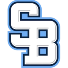 國(guó)際布拉蒂斯拉瓦